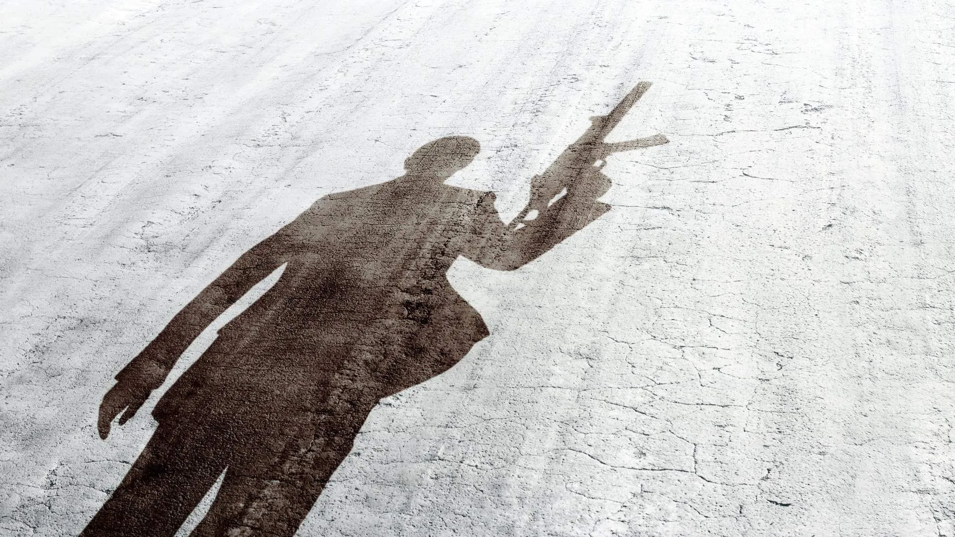 Banner 007 - Quantum of Solace